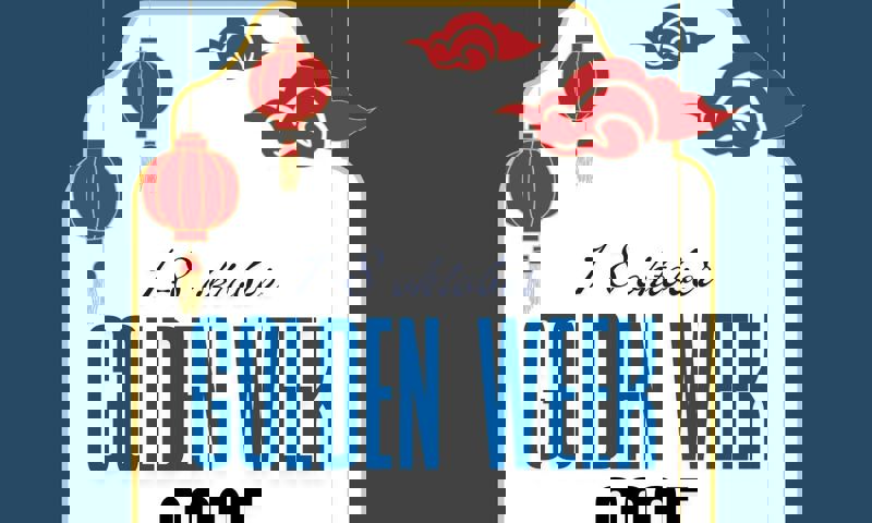 Nieuwsbrief Fotos Forvision2